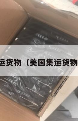 美国集运货物（美国集运货物价格表）