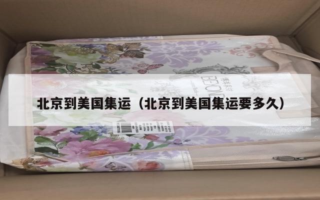 北京到美国集运（北京到美国集运要多久）