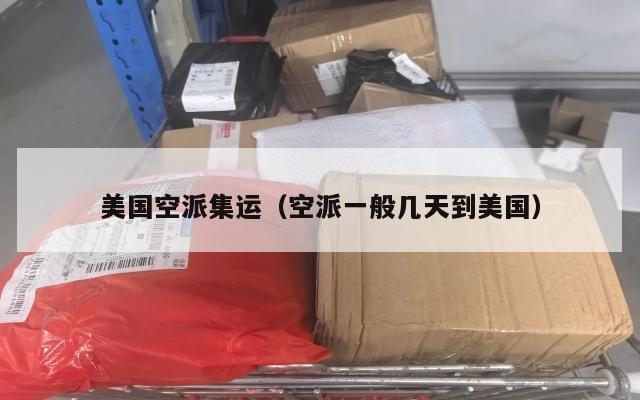 美国空派集运（空派一般几天到美国）