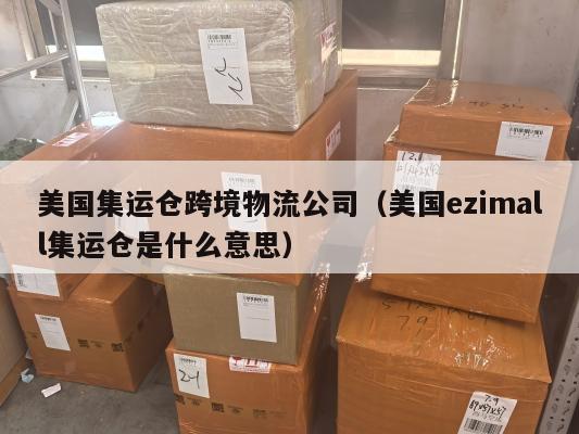 美国集运仓跨境物流公司（美国ezimall集运仓是什么意思）