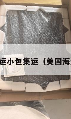 美国空运小包集运（美国海运小包）