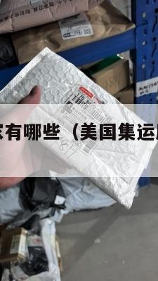 美国集运厂家有哪些（美国集运厂家有哪些公司）