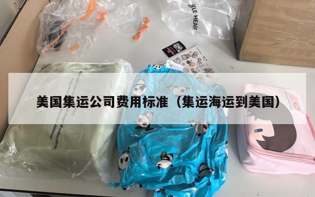 美国集运公司费用标准(集运海运到美国)