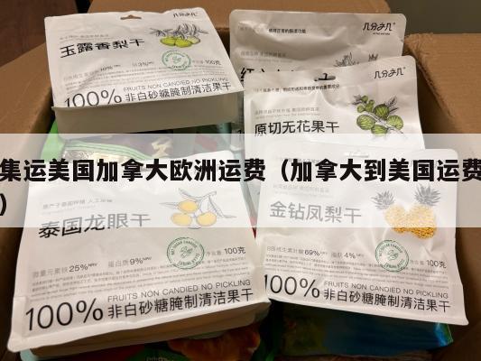 集运美国加拿大欧洲运费(加拿大到美国运费)