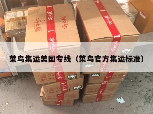 菜鸟集运美国专线(菜鸟官方集运标准)
