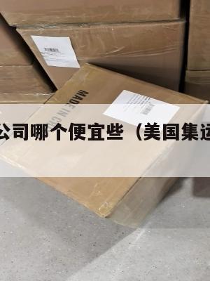 美国集运公司哪个便宜些(美国集运公司哪个便宜些啊)