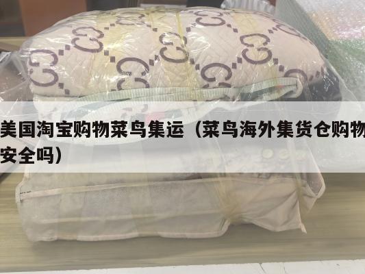 美国淘宝购物菜鸟集运(菜鸟海外集货仓购物安全吗)
