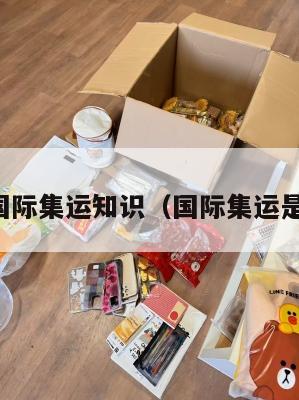 美国国际集运知识（国际集运是什么）