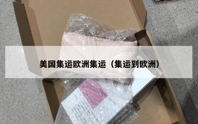 美国集运欧洲集运（集运到欧洲）
