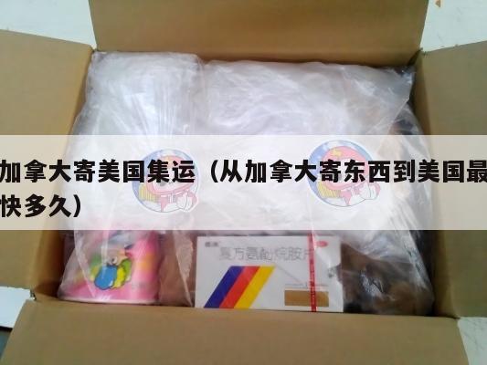 加拿大寄美国集运(从加拿大寄东西到美国最快多久)