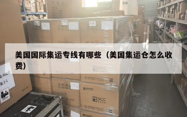 美国国际集运专线有哪些(美国集运仓怎么收费)