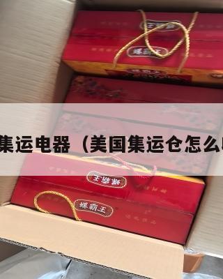 美国集运电器(美国集运仓怎么收费)