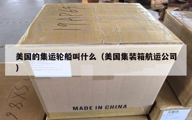 美国的集运轮船叫什么(美国集装箱航运公司)