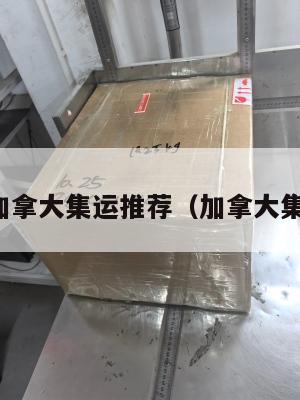 美国加拿大集运推荐(加拿大集装箱)