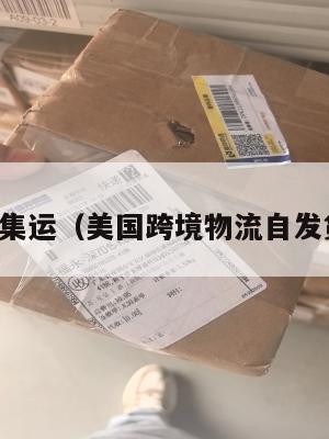 美国跨境集运（美国跨境物流自发货走什么）