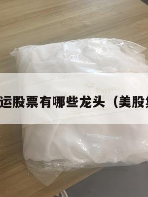美国的集运股票有哪些龙头（美股集运公司）