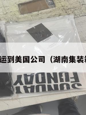 湖南集运到美国公司(湖南集装箱公司)