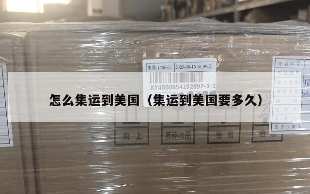 怎么集运到美国(集运到美国要多久)