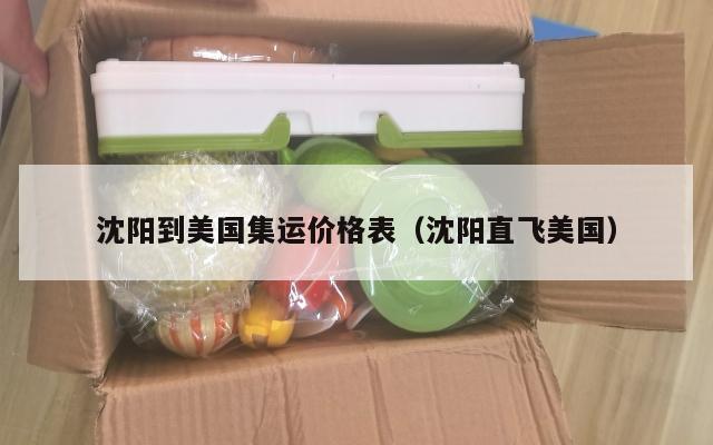 沈阳到美国集运价格表(沈阳直飞美国)