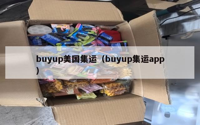 buyup美国集运（buyup集运app）