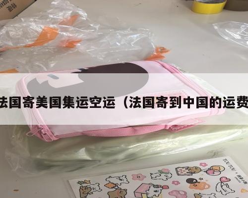 法国寄美国集运空运（法国寄到中国的运费）