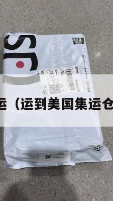 找美国集运（运到美国集运仓怎么联系）