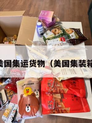 了解美国集运货物（美国集装箱运输）