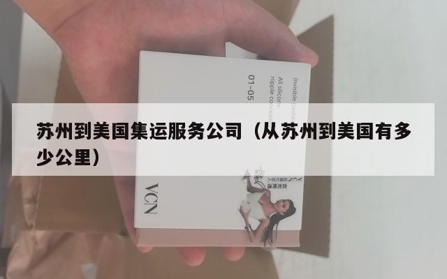 苏州到美国集运服务公司（从苏州到美国有多少公里）