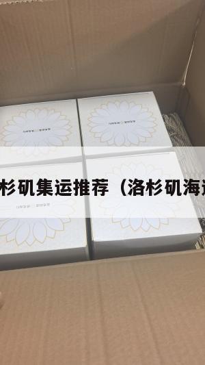 美国洛杉矶集运推荐（洛杉矶海运公司）