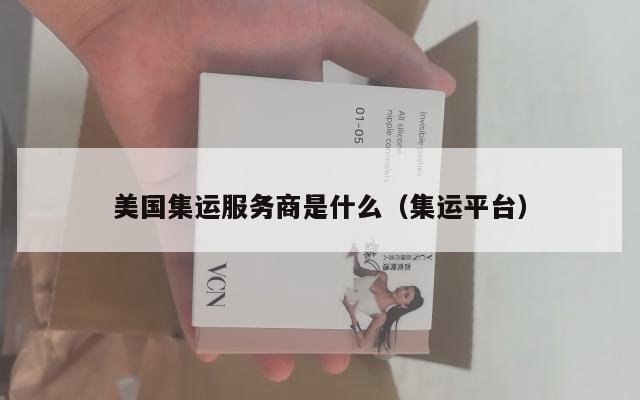 美国集运服务商是什么（集运平台）