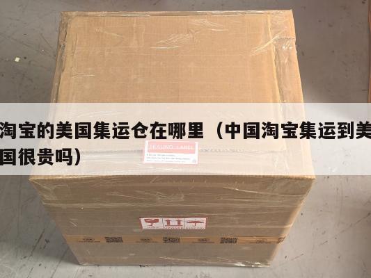 淘宝的美国集运仓在哪里（中国淘宝集运到美国很贵吗）
