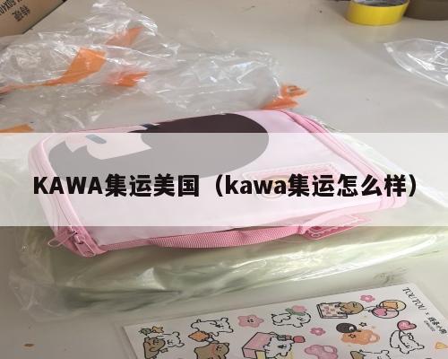 KAWA集运美国（kawa集运怎么样）