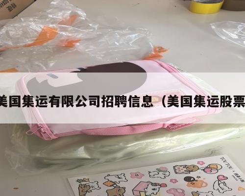 美国集运有限公司招聘信息（美国集运股票）