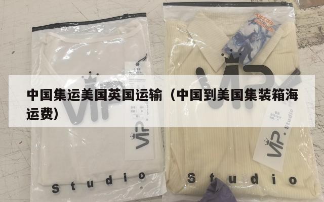 中国集运美国英国运输（中国到美国集装箱海运费）
