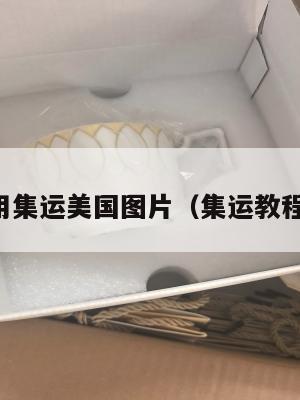 用集运美国图片（集运教程）