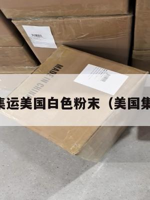 国际集运美国白色粉末（美国集运仓）