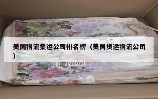 美国物流集运公司排名榜（美国货运物流公司）