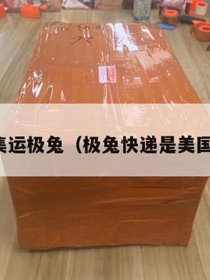 美国集运极兔（极兔快递是美国的吗）