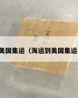 海运到美国集运（海运到美国集运多少钱）