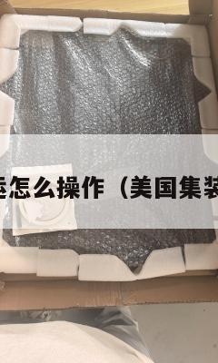 美国集运怎么操作（美国集装箱海运）