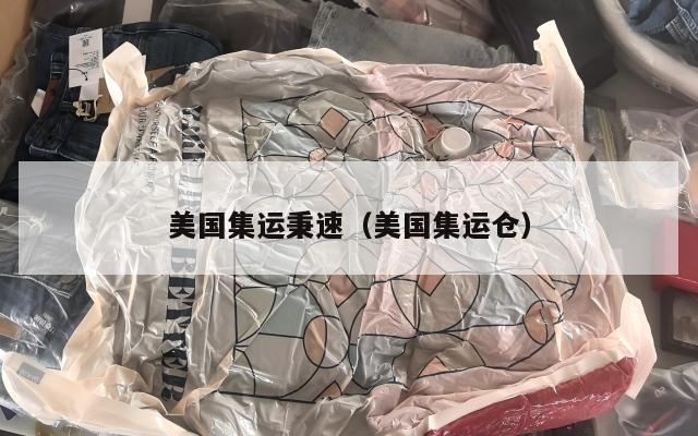 美国集运秉速（美国集运仓）