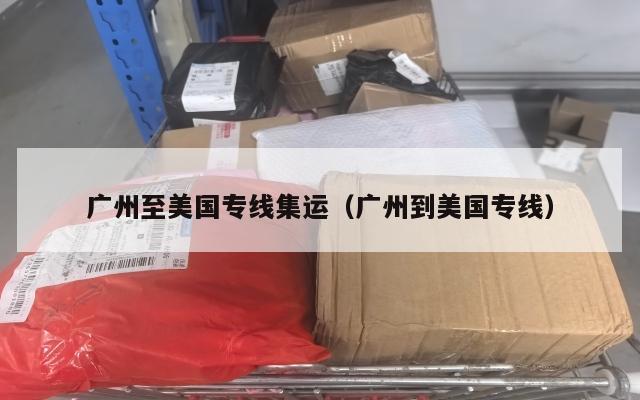 广州至美国专线集运（广州到美国专线）