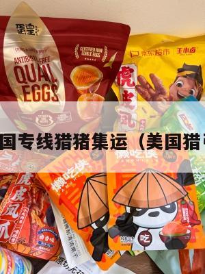 美国专线猎猪集运（美国猎弓）