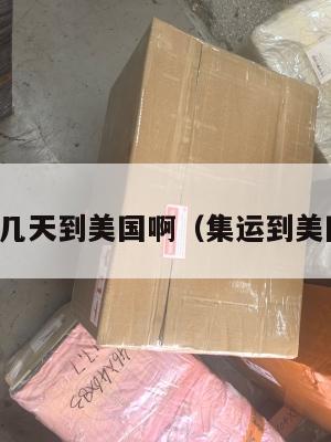 集运大约几天到美国啊（集运到美国要多久）