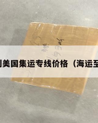 海运到美国集运专线价格（海运至美国）