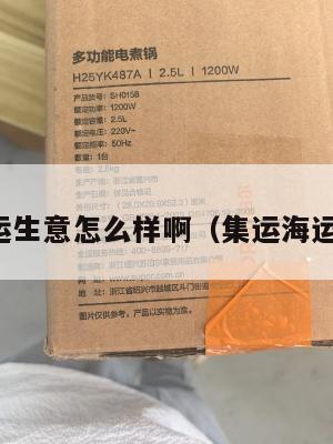 美国集运生意怎么样啊（集运海运到美国）