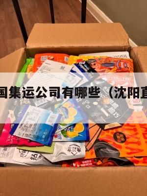 沈阳到美国集运公司有哪些（沈阳直飞美国的城市?）