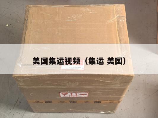 美国集运视频（集运 美国）