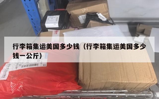 行李箱集运美国多少钱（行李箱集运美国多少钱一公斤）