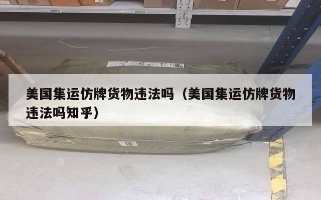 美国集运仿牌货物违法吗（美国集运仿牌货物违法吗知乎）